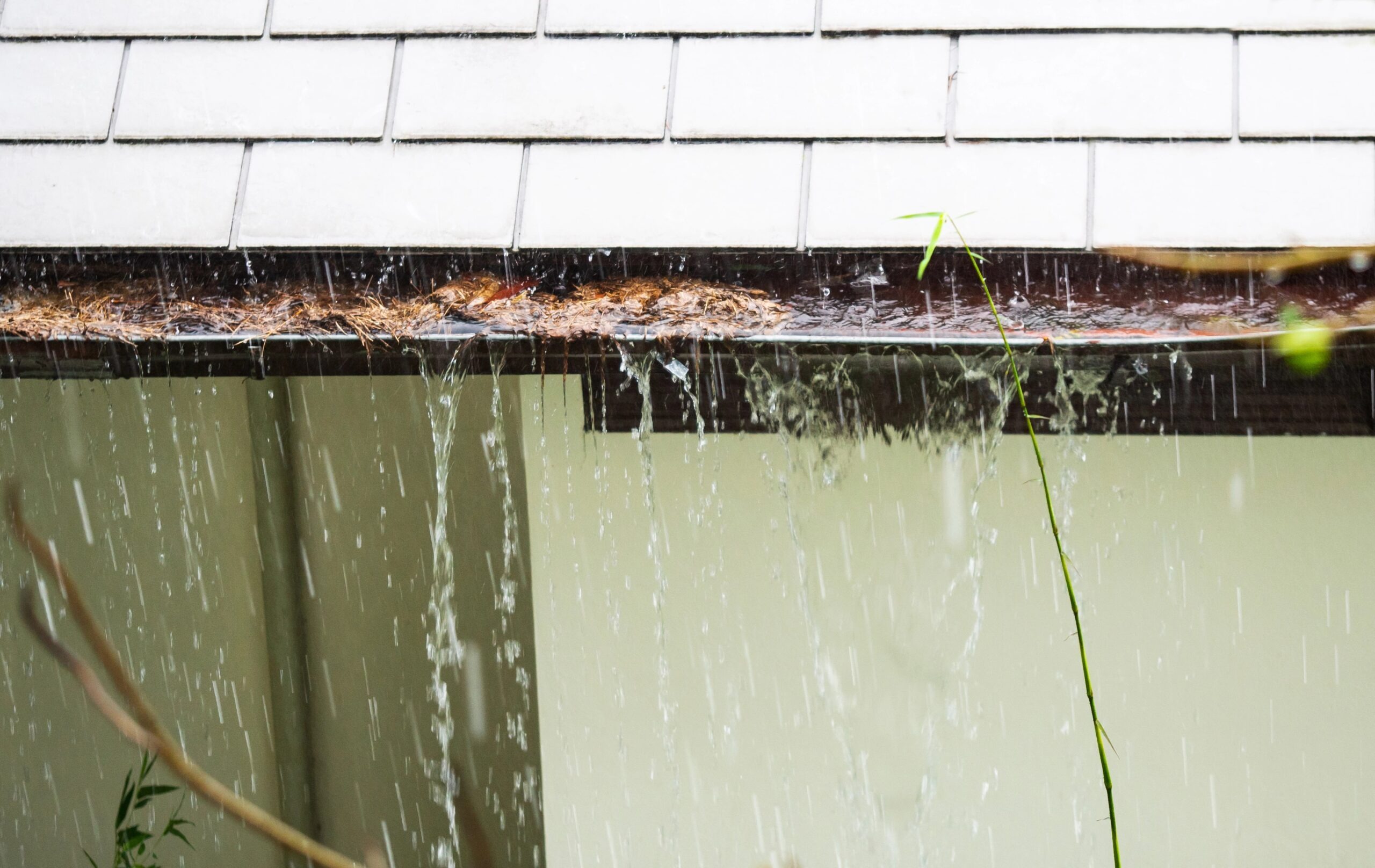 What Clogs Gutters Most in NYC? #1 Blockage & Prevention